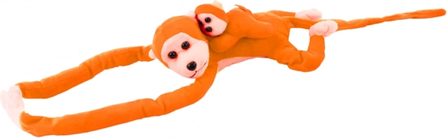 Opička s mládětem