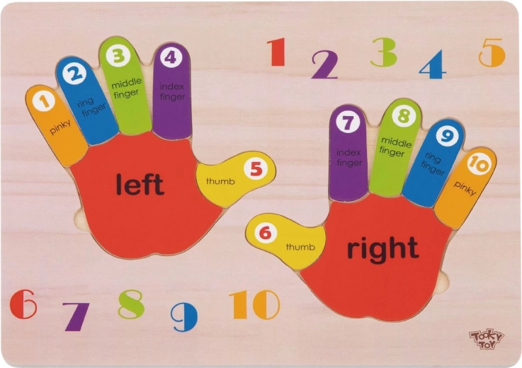Dřevěná vzdělávací skládačka ruce – učení čísel, barev a pravá/levá od TOOKY TOY