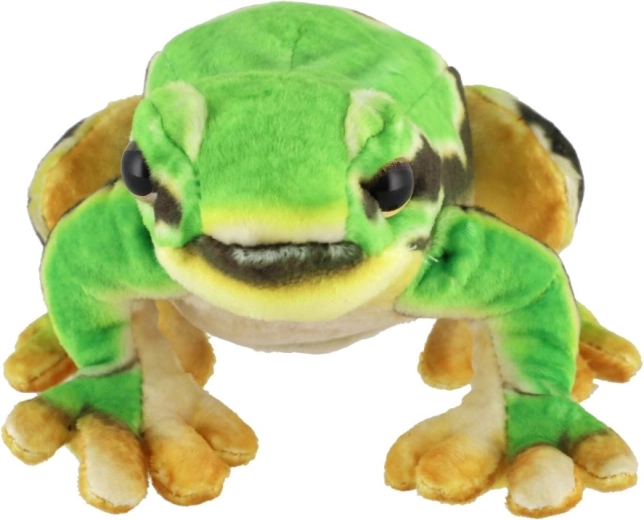 Vhodná od narození