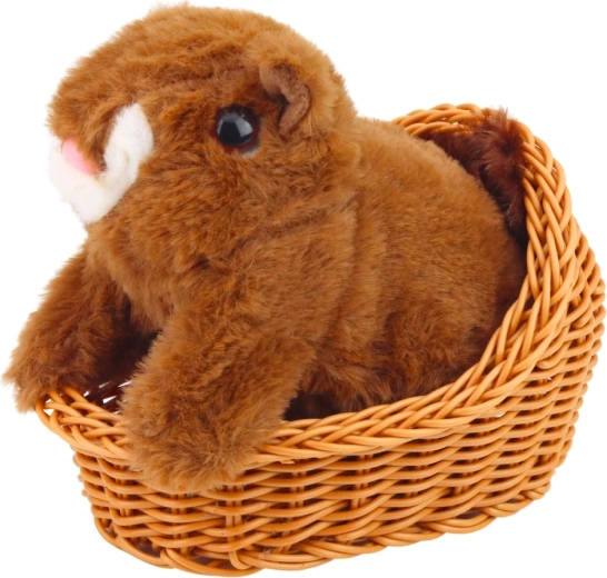 Měkký, bezpečný a odolný plyš