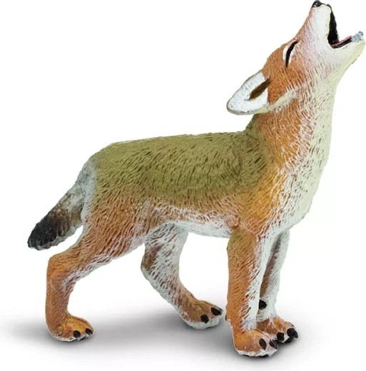 Mládě kojota Safari Ltd. - 1 kus