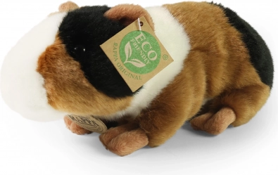 Plyšové morče Rappa 22 cm eco-friendly