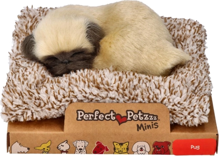 Malé štěňátko mops Perfect Petzzz