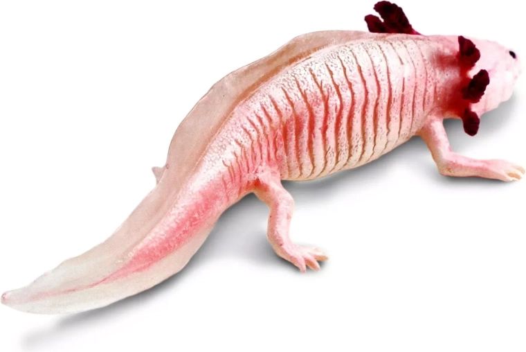 Na hru, učení i do sbírky
