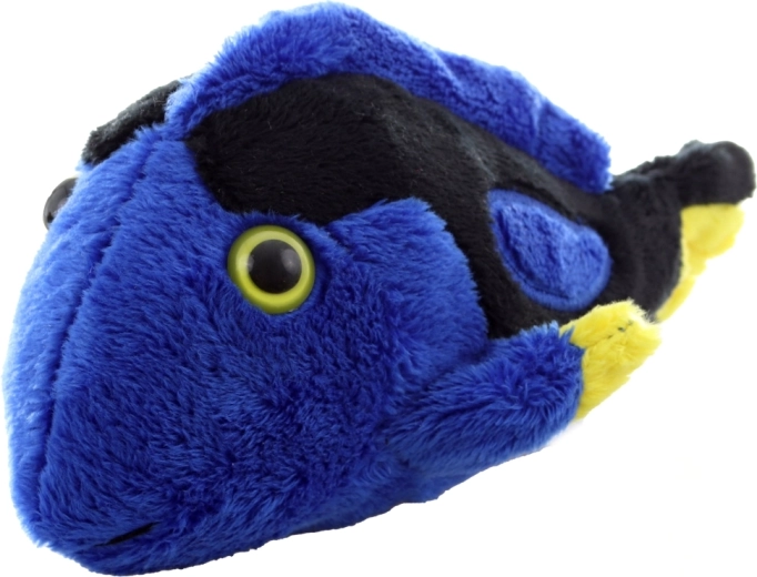 Zářivé barvy, které zaujmou