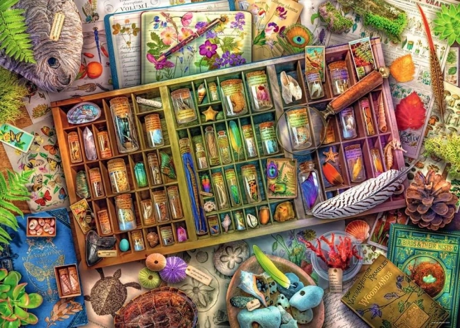 Ravensburger puzzle Přírodopisná sbírka 1000 dílků