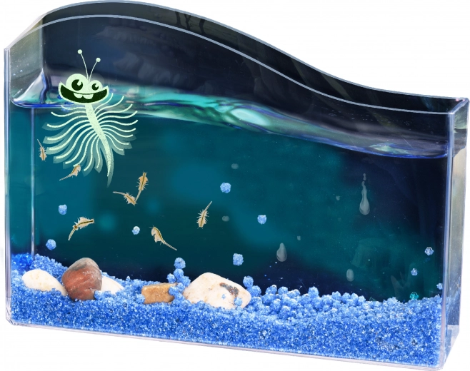 Kosmos vodní mazlíček – žábronožka solná startovací sada