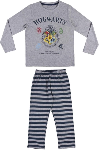 Motiv Hogwarts pro fanoušky Harryho Pottera