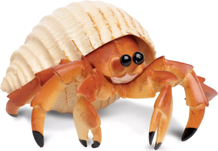 Krab poustevník Safari Ltd.