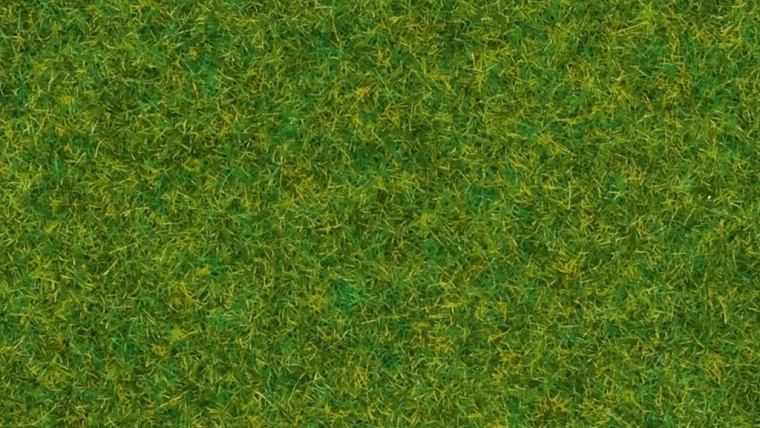 Noch statická tráva okrasný trávník 2,5 mm