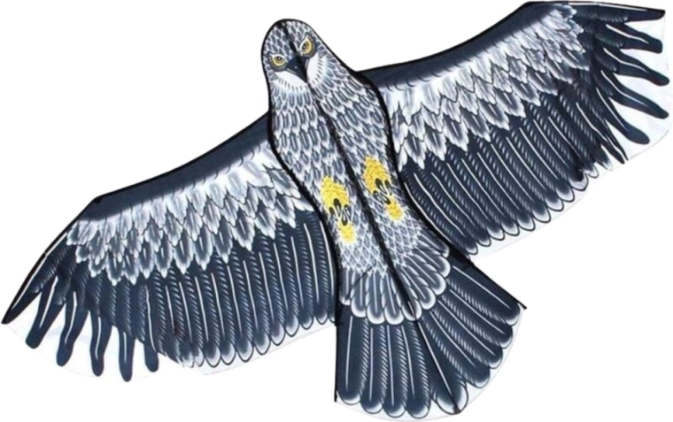 Stabilní let i pro začátečníky