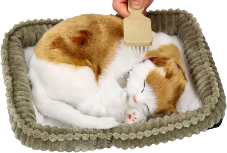 Realistický vzhled spící kočky