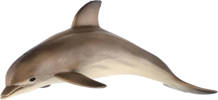 Pro malé objevitele oceánů