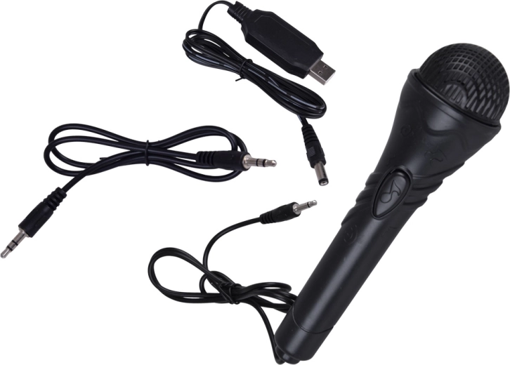 Karaoke a domácí koncerty