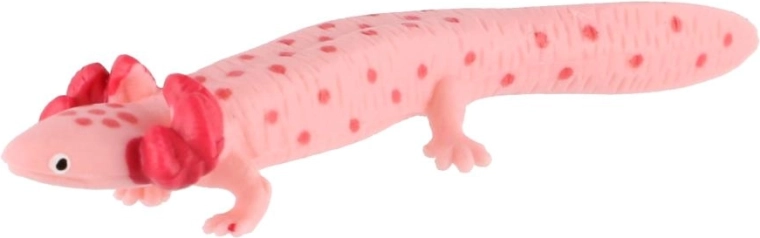 Typický vzhled axolotla