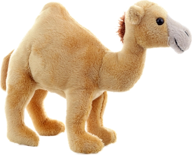 Ideální velikost na cesty