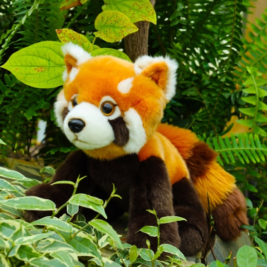 Realistické detaily pandy červené