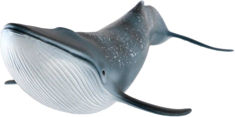 Velikost 27 cm