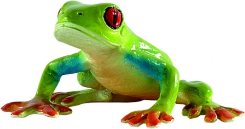 Rosnička červéné oči