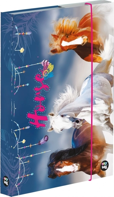 Box na sešity A4 s motivem Koně