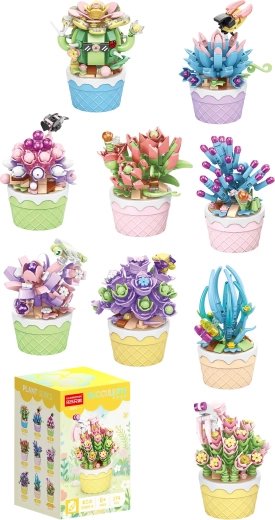 Florist sukulenty v ozdobných květináčích (9 druhů) - 1 kus