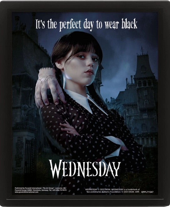3D obraz Wednesday