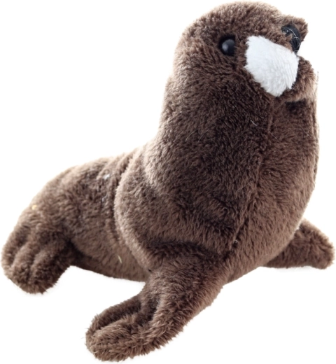 Ideální velikost 13 cm