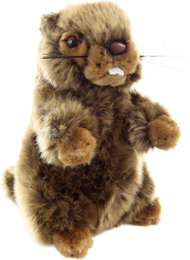 Bezpečný od narození