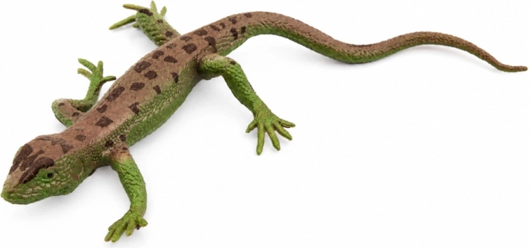 Realistické detaily a přirozené zbarvení