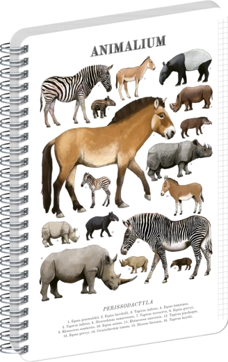 Notique spirálový blok Animalium – lichokopytníci, A4, čtverečkovaný