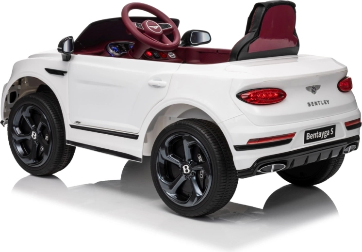 Dálkové ovládání 2,4 GHz s nouzovým Stop