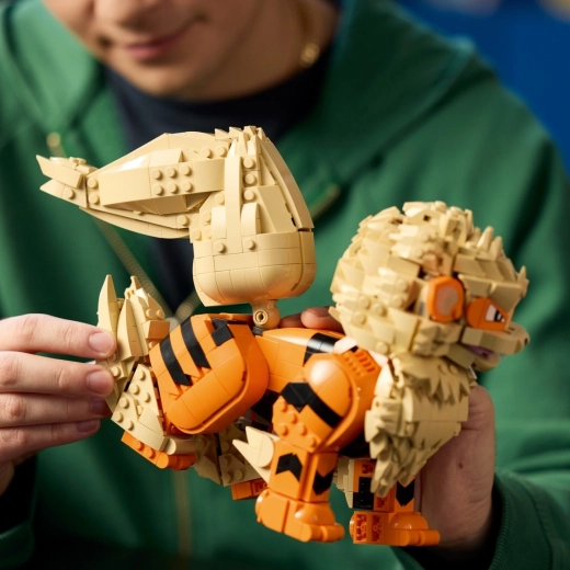 Stavění s aplikací LEGO Builder