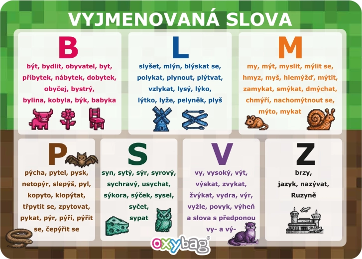 PlayWorld vzdělávací karta a4 vyjmenovaná slova