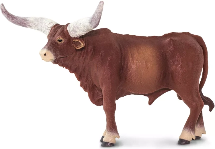Typické rohy watusi v realistickém provedení