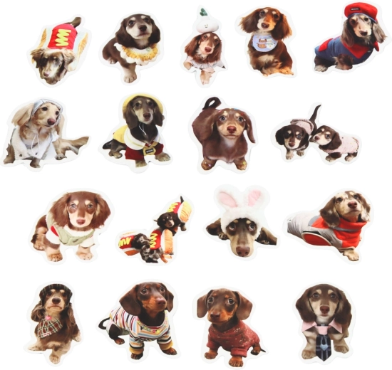 Ideální velikost 5 cm pro dekorování