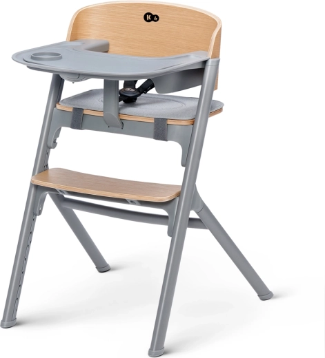 Roste s dítětem i s celou rodinou (4 v 1 až do 110 kg)