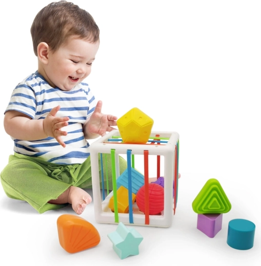 Rozvoj smyslů a jemné motoriky