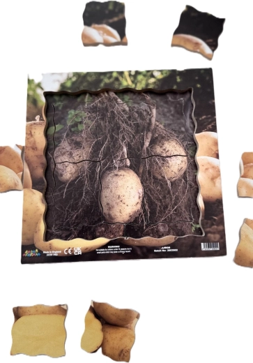 Dřevěné puzzle v rámečku