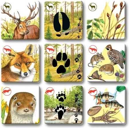 Odolné kartičky pro časté hraní