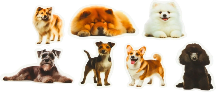 Průhledné pozadí pro čistý vzhled