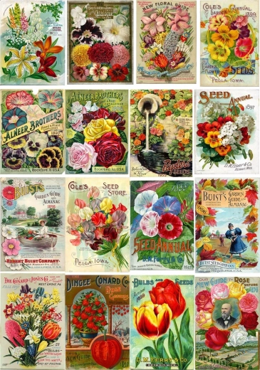 Enjoy puzzle vintage balíčky květinových semen 1000 dílků