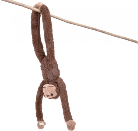 Realistické zpracování ze série ZOO Collection