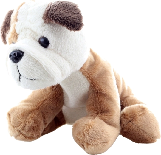 Bezpečný pro nejmenší (0+)