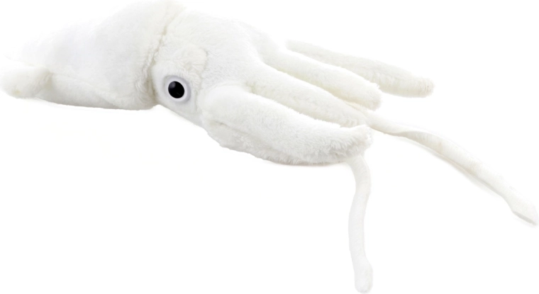 Realistický tvar s chapadly