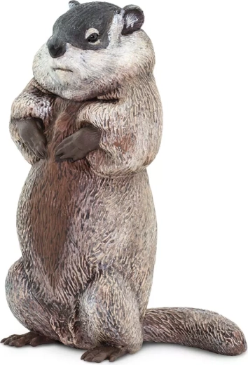 Safari Ltd. figurka svišť - 1 kus