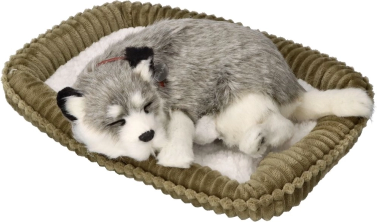 Dýchající štěňátko aljašský husky