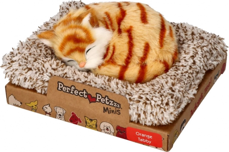 Perfect Petzzz pruhovaný rezavý kotě