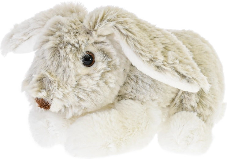 Roztomilé detaily a dlouhá ouška