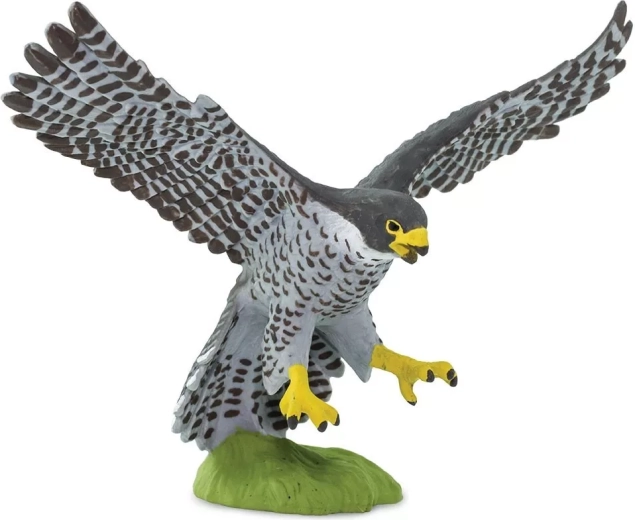 Figurka sokol stěhovavý Safari Ltd. - 1 kus