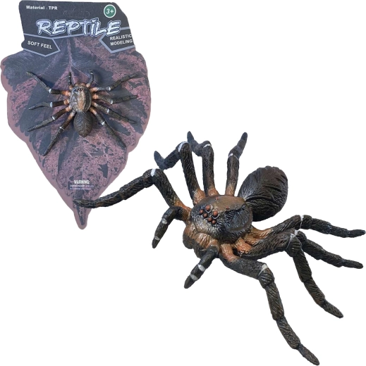 Živá příroda: Wolf Spider – realistický model pavouka (12 cm)